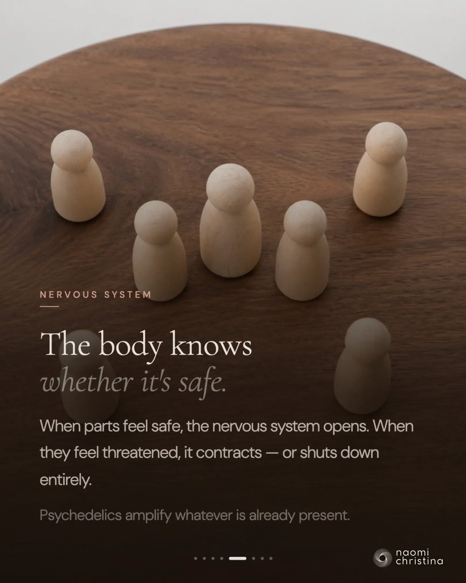 Slide: 'The body knows whether it's safe' — how the nervous system responds to trust versus fear during psychedelic work