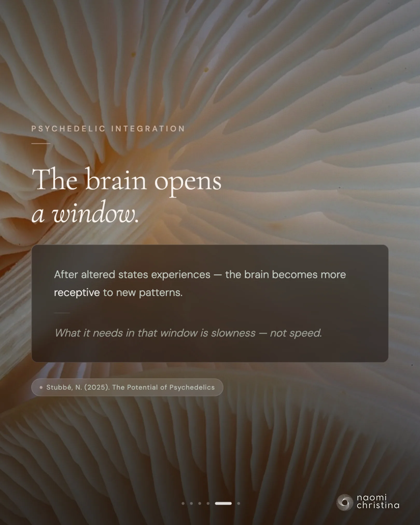 Slide: 'The brain opens a window' — psychedelic integration and neuroplasticity, citing Stubbé (2025), The Potential of Psychedelics