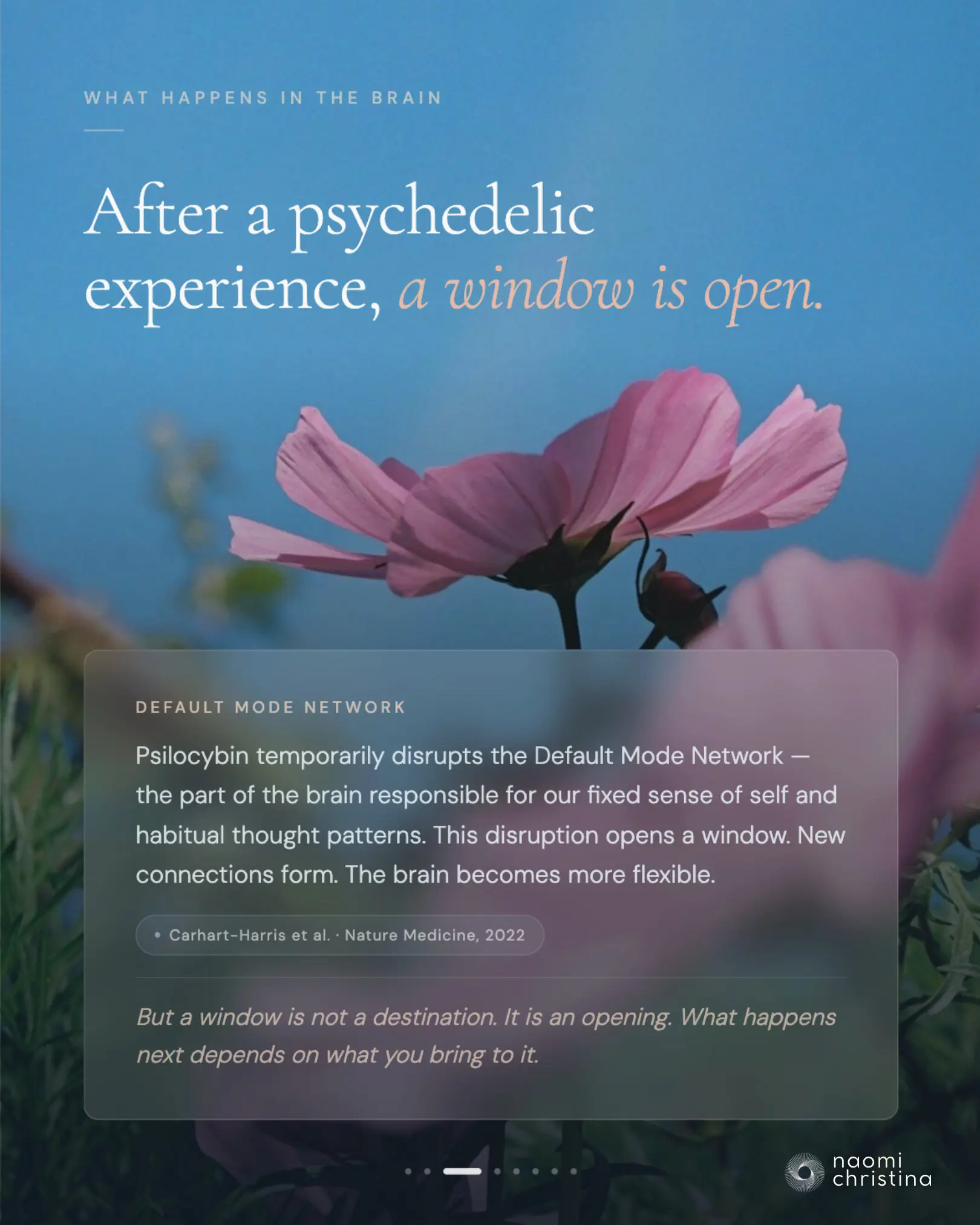 Slide: 'After a psychedelic experience, a window is open' — Default Mode Network disruption, citing Carhart-Harris et al., Nature Medicine 2022