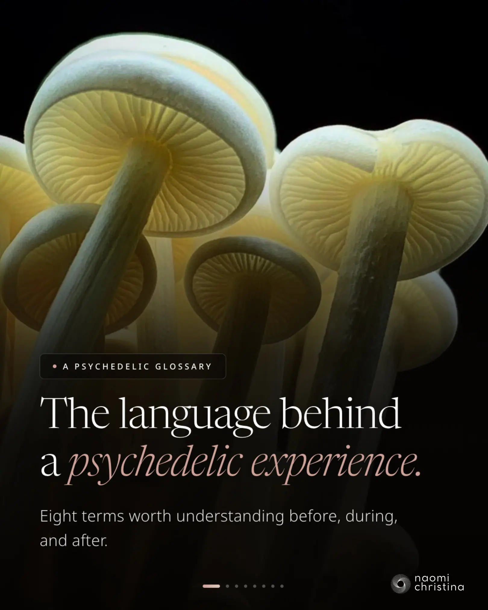Cover slide over mushroom photography: 'The language behind a psychedelic experience — eight terms worth understanding before, during, and after'