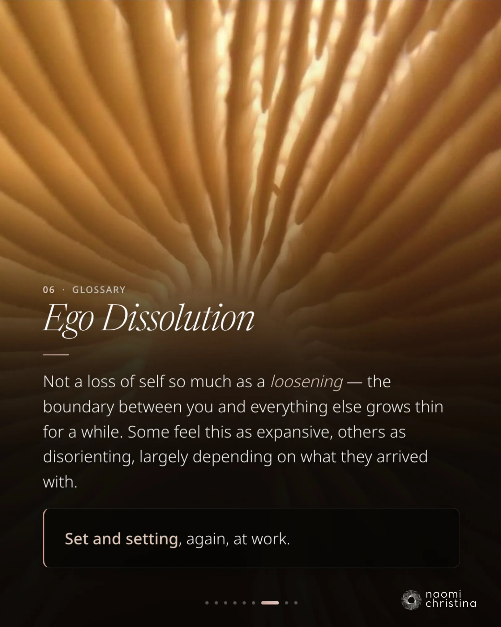 Glossary slide 6, Ego Dissolution — the loosening of boundaries between self and everything else