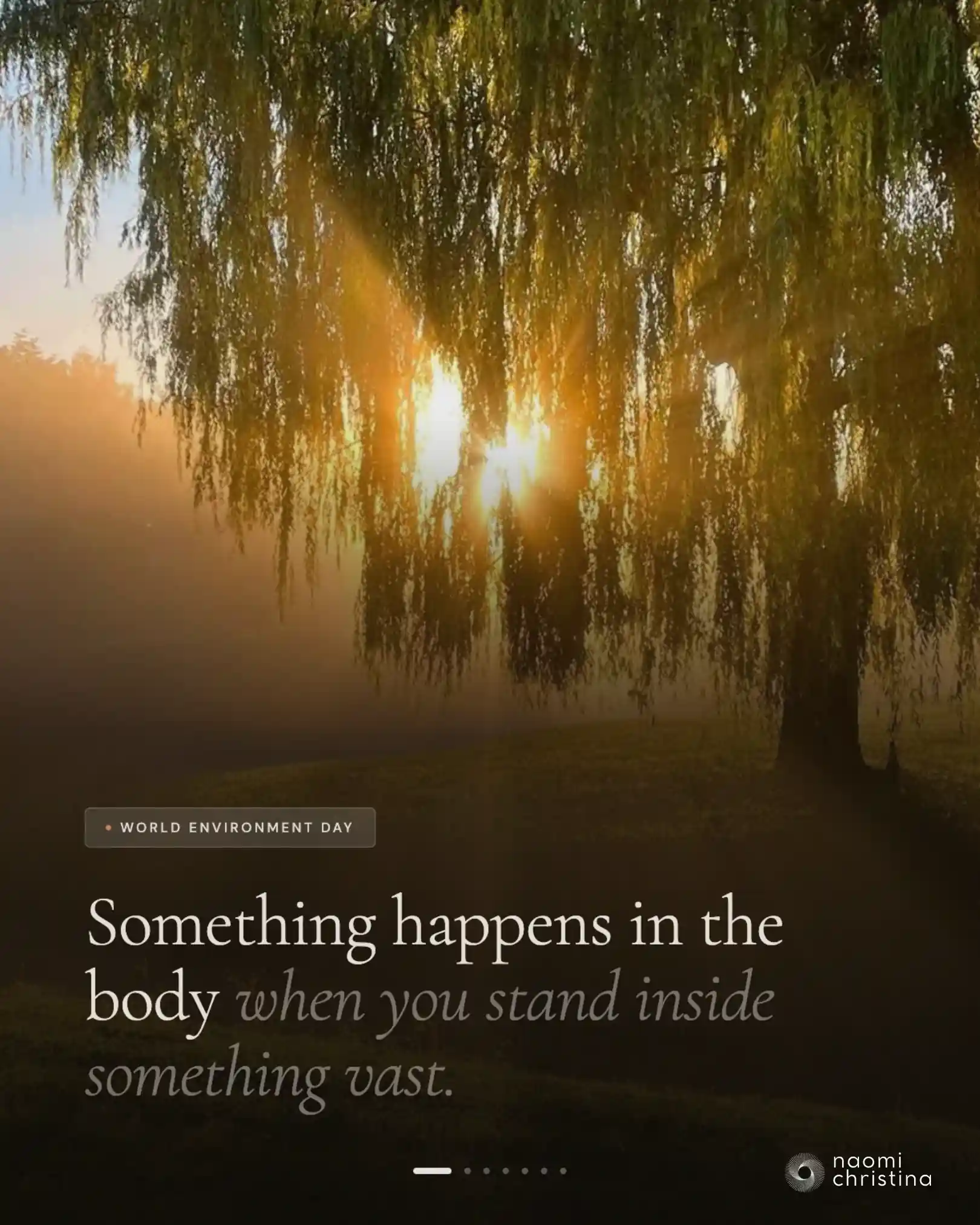 Cover slide: 'Something happens in the body when you stand inside something vast' — World Environment Day reflection